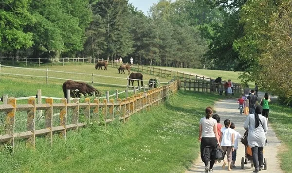 Ferme de la Chantrerie