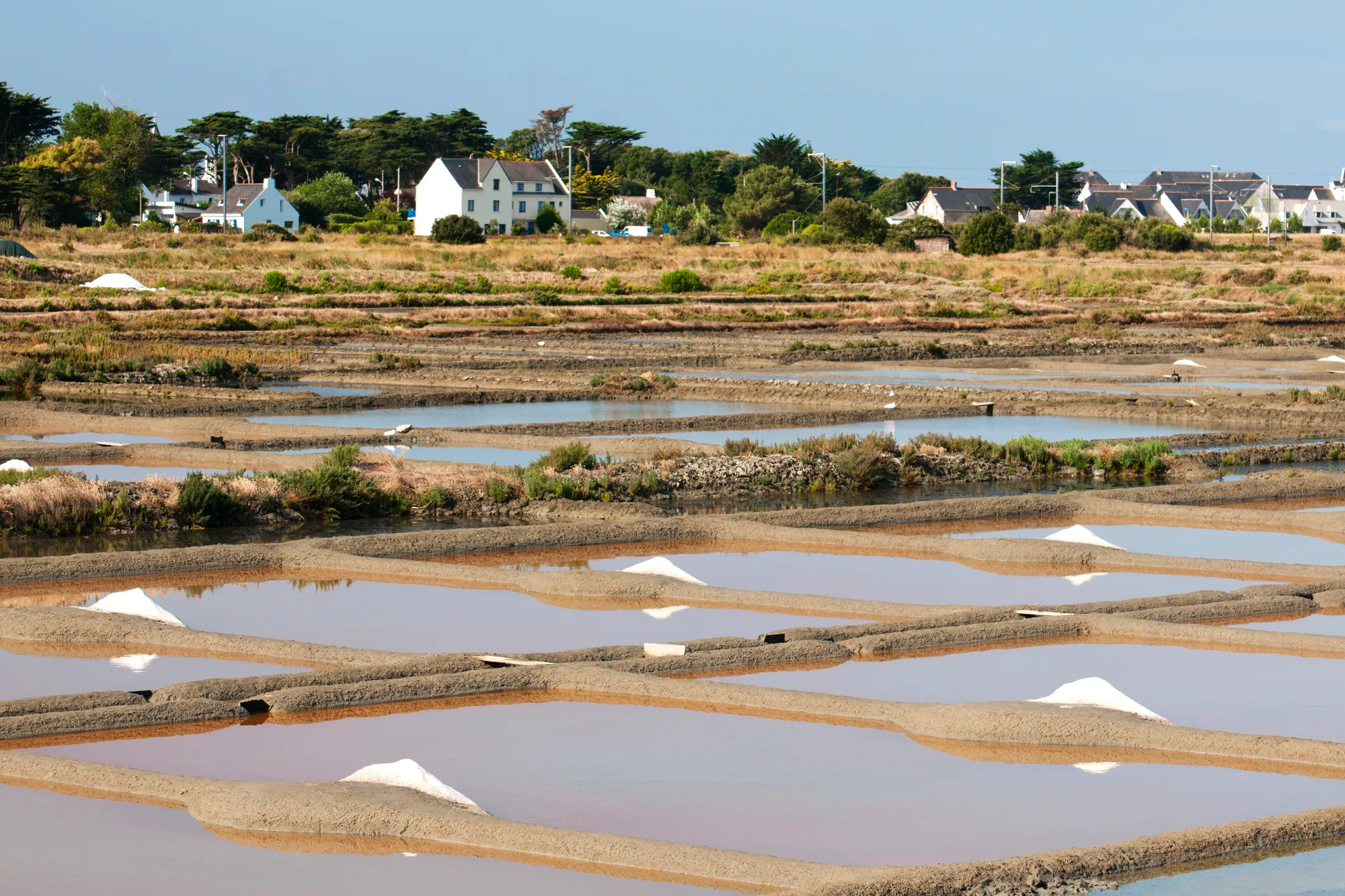 Guérande & les marais salants
