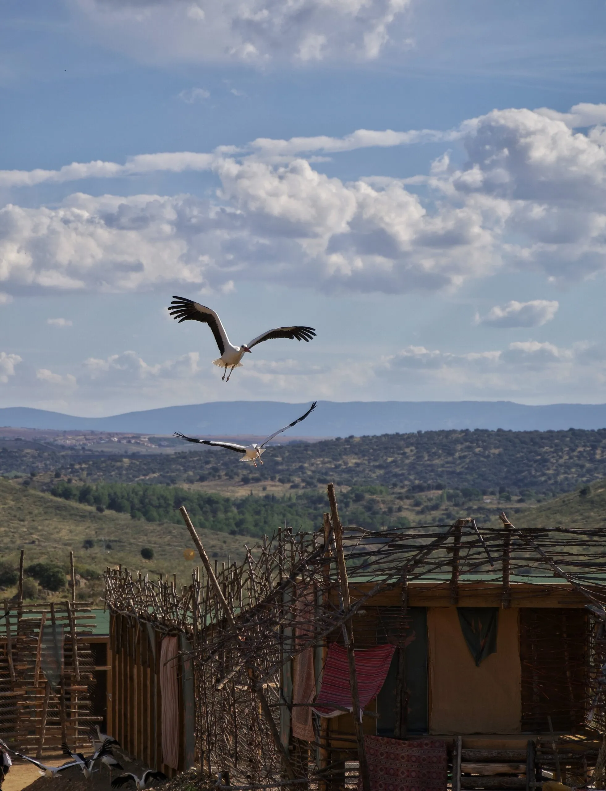 Sur la route du Puy du Fou